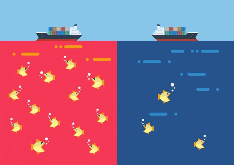 Unlimited web hosting