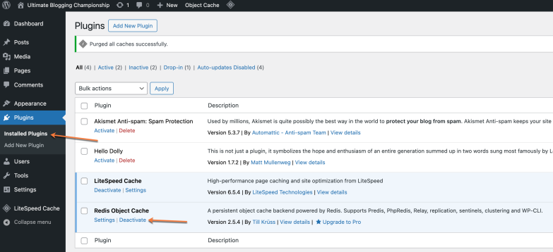 Plugins Installed Plugins Deactivate Redis Object Cache