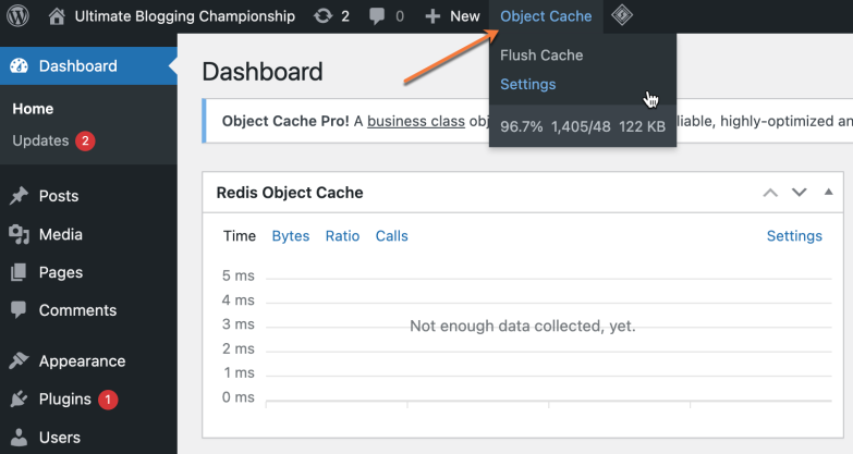 WordPress Admin Panel Object Cache