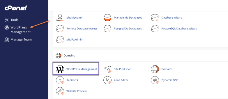 WordPress Management
